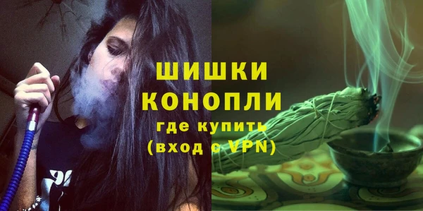 apvp Анива