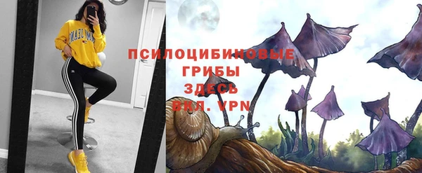 не бодяженный Аркадак