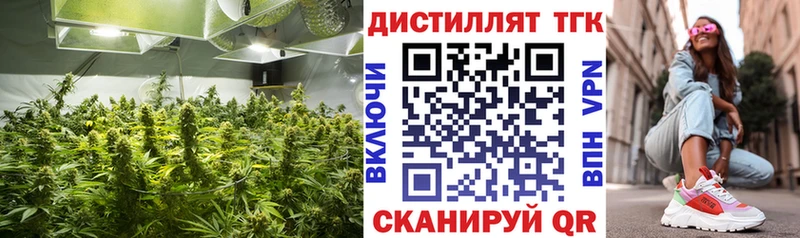 ТГК гашишное масло  Беслан 