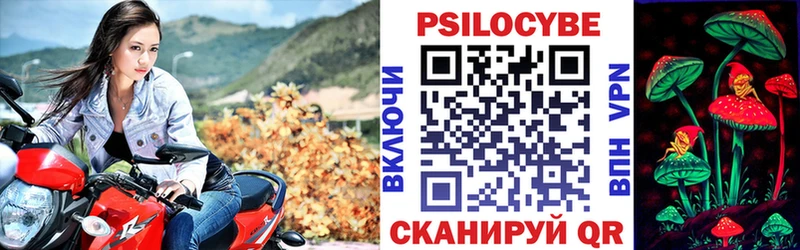 закладка  Беслан  Псилоцибиновые грибы мицелий 