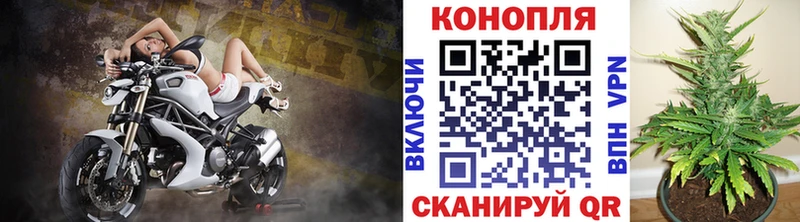 где купить Беслан Каннабис планчик